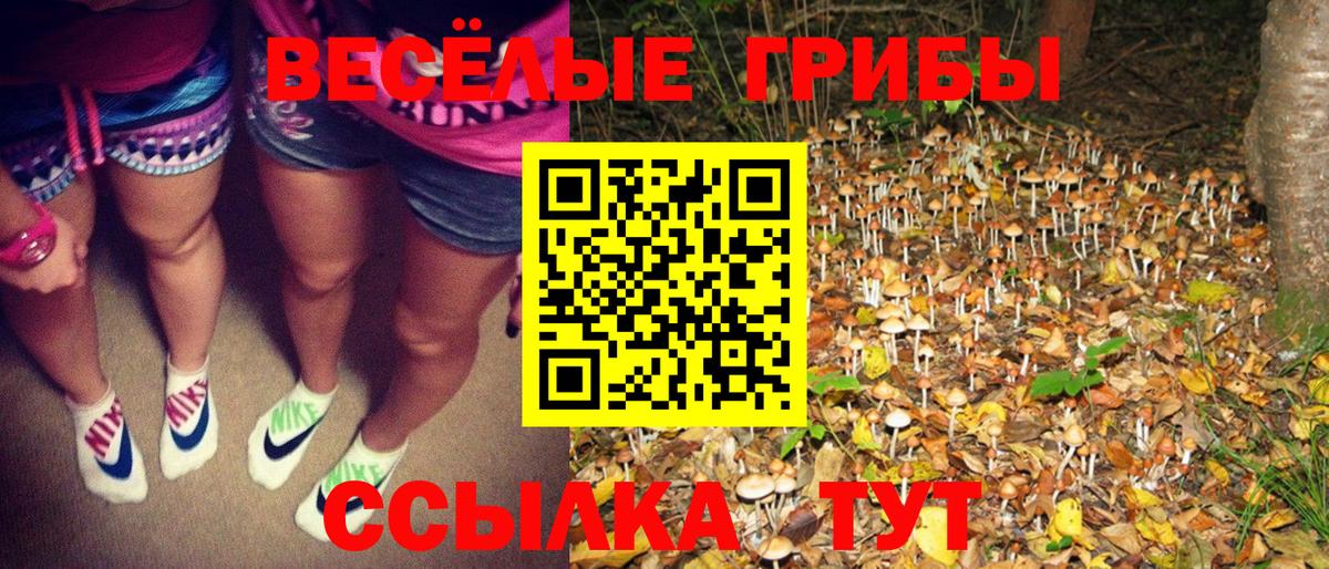 Псилоцибиновые грибы Psilocybe  Вход с VPN  Прокопьевск 